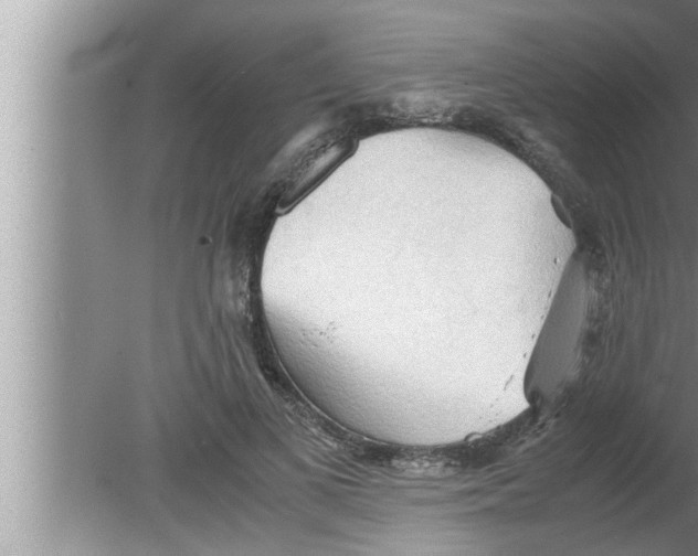 X0000080160693200612302154