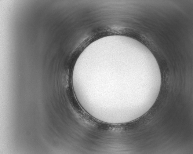 X0000080160694200612302154