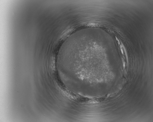 X0000080160696200612302154