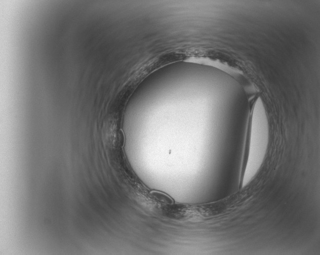 X0000080160697200612302154