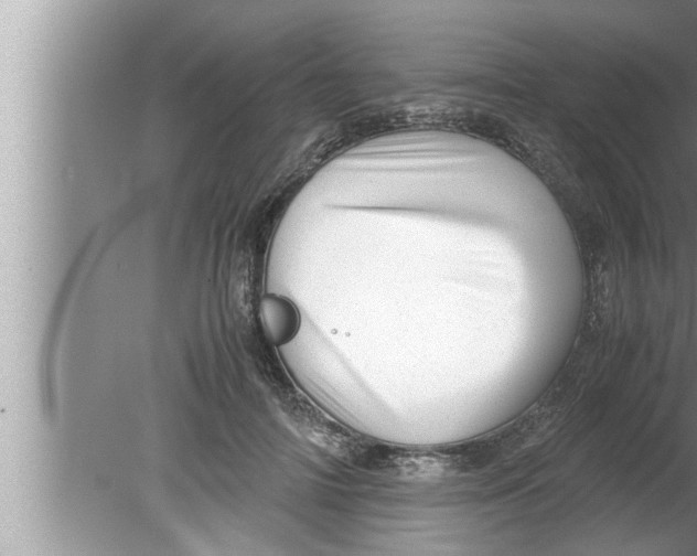 X0000080160698200612302154