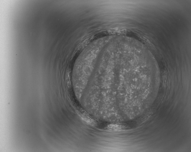 X0000080160699200612302154