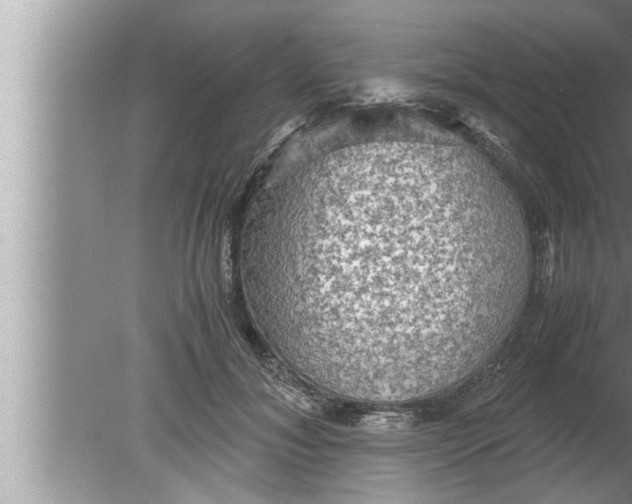 X0000080160700200612302154