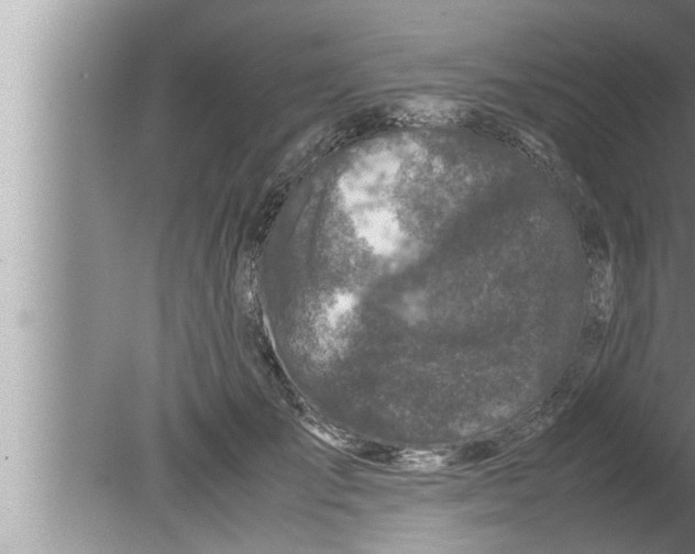 X0000080160701200612302154