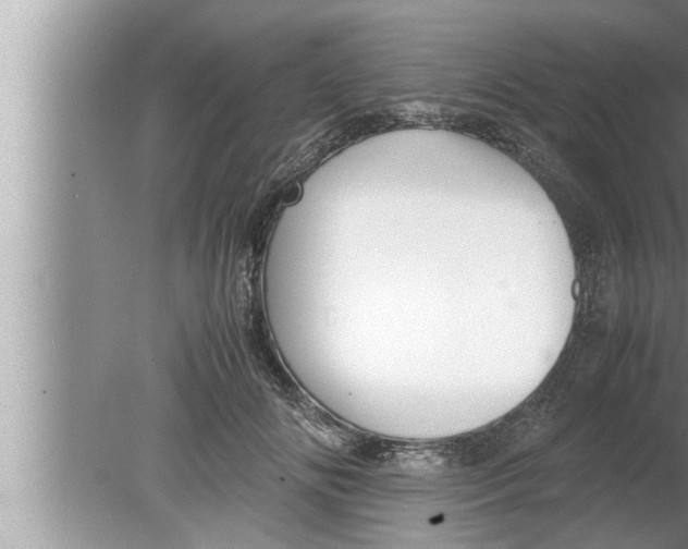 X0000080160702200612302154