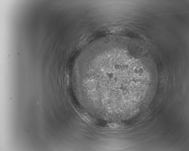 X0000080160703200612302154