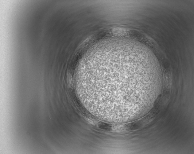 X0000080160705200612302154