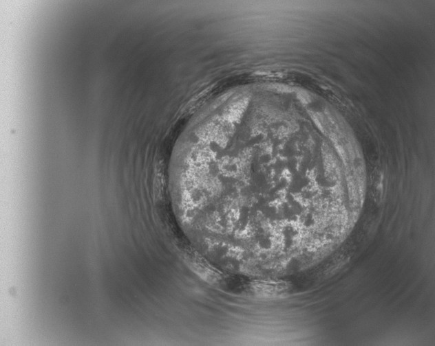 X0000080160707200612302153