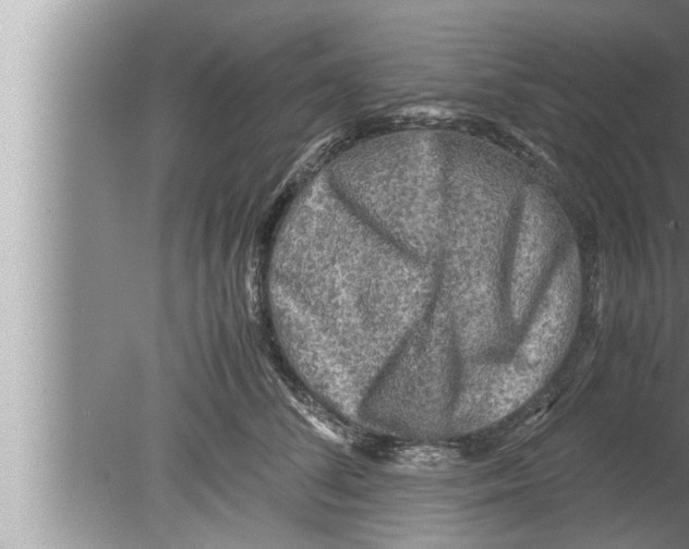 X0000080160708200612302153