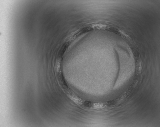 X0000080160709200612302153