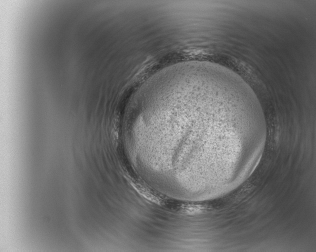 X0000080160710200612302153