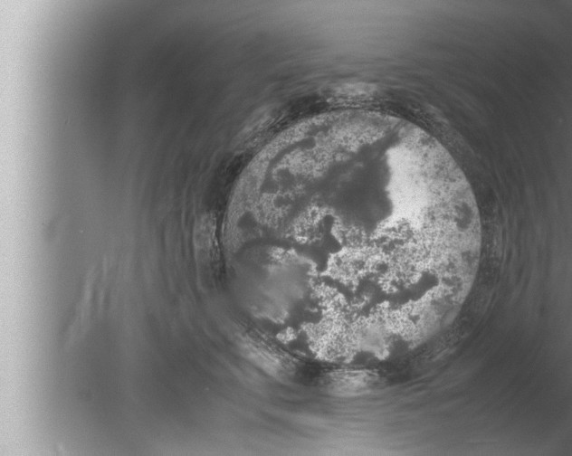 X0000080160711200612302153