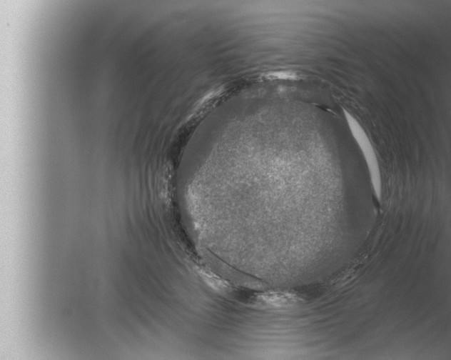 X0000080160712200612302153