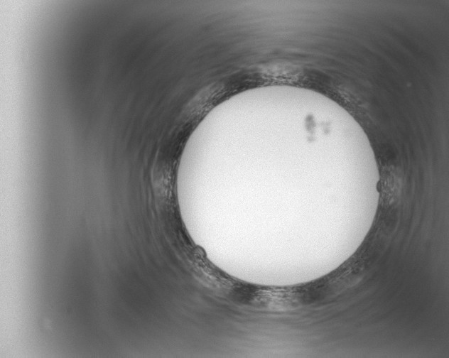 X0000080160713200612302153