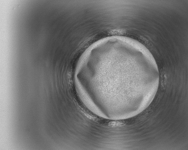 X0000080160714200612302153