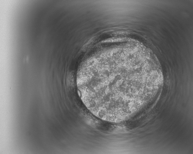 X0000080160715200612302153