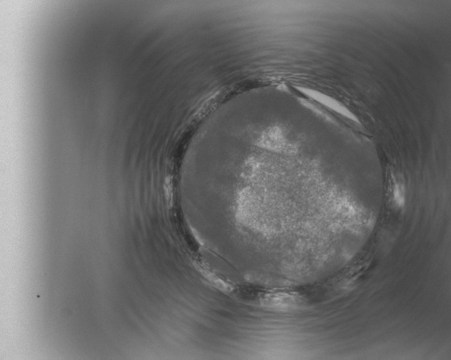 X0000080160716200612302153