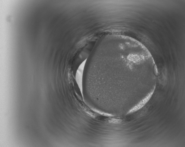 X0000080160718200612302153