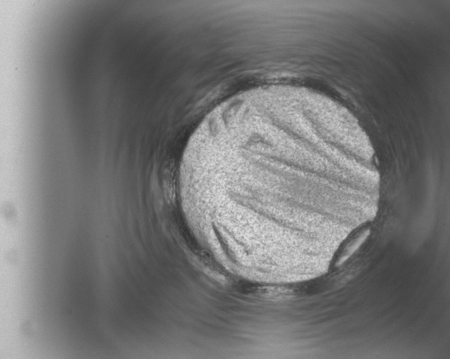 X0000080160719200612302153