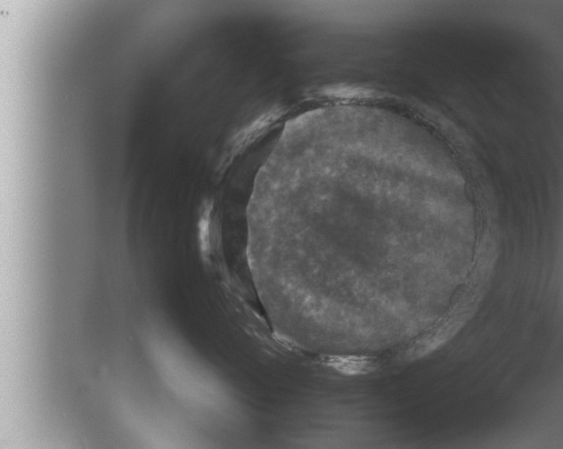 X0000080160720200612302153