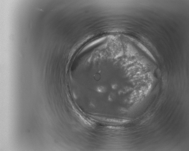 X0000080160721200612302152