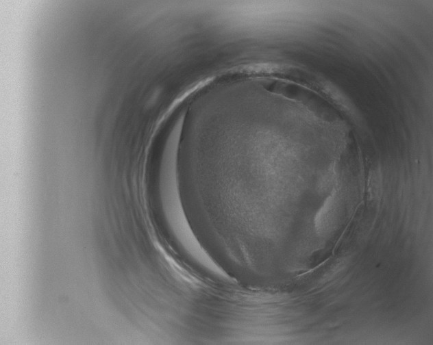 X0000080160722200612302152