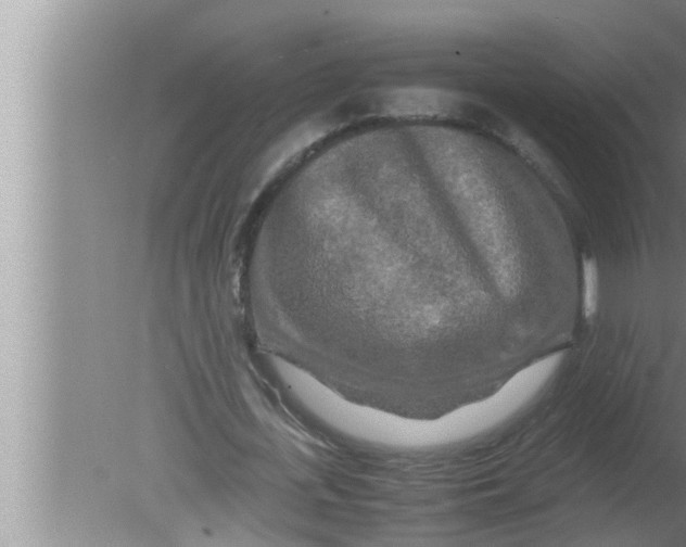 X0000080160723200612302152