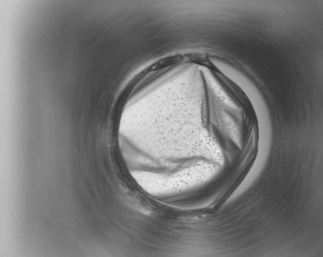 X0000080160724200612302152