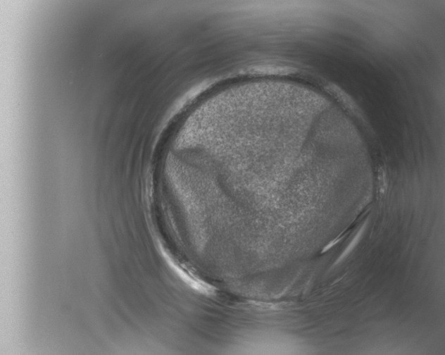 X0000080160726200612302153