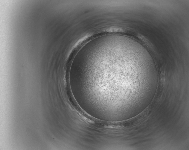 X0000080160727200612302153