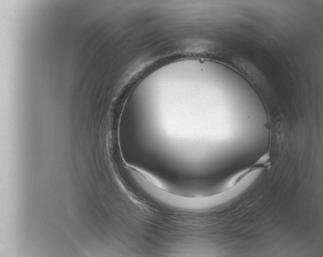 X0000080160728200612302153