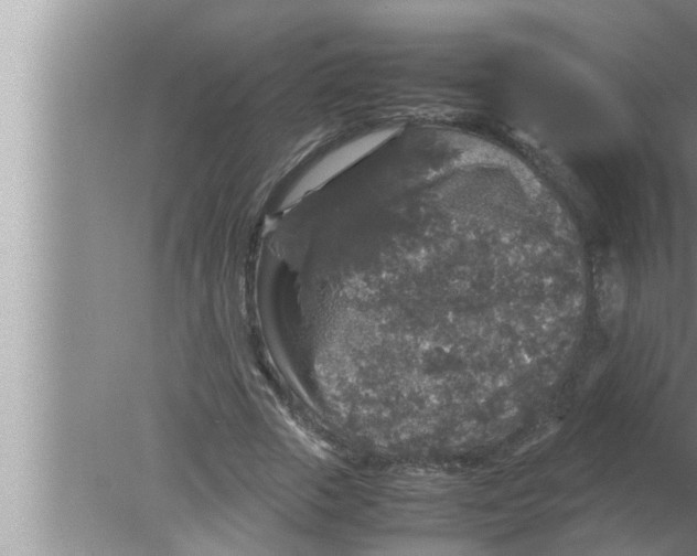 X0000080160729200612302153