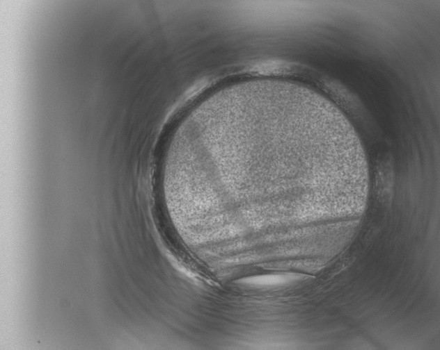 X0000080160730200612302153