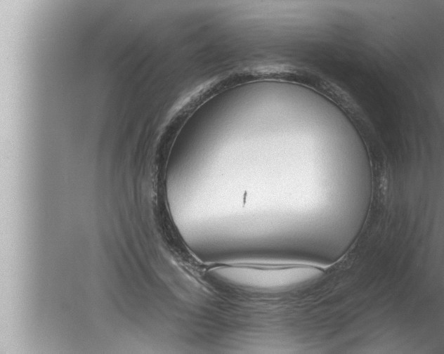 X0000080160732200612302153