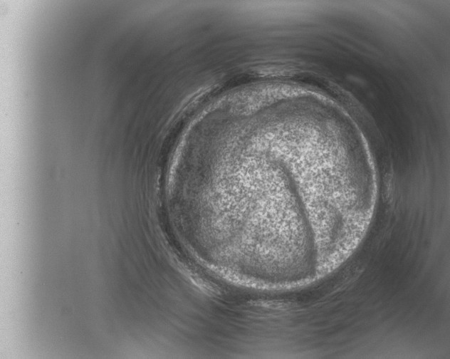 X0000080160733200612302153