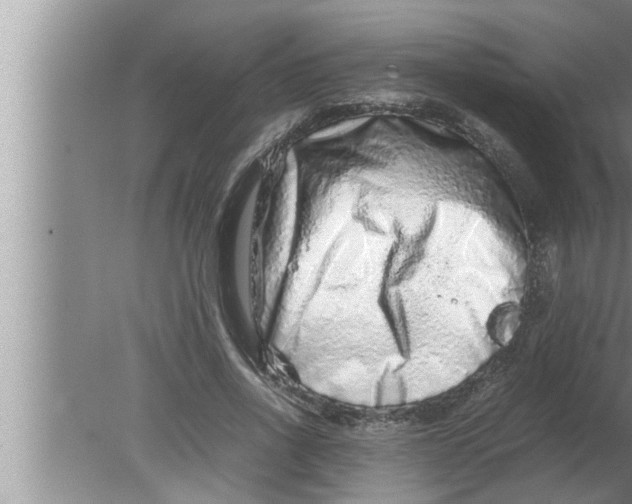 X0000080160734200612302153