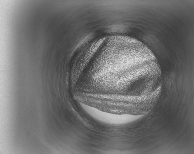 X0000080160735200612302153