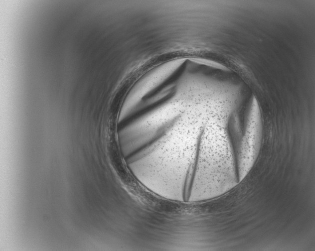 X0000080160736200612302153