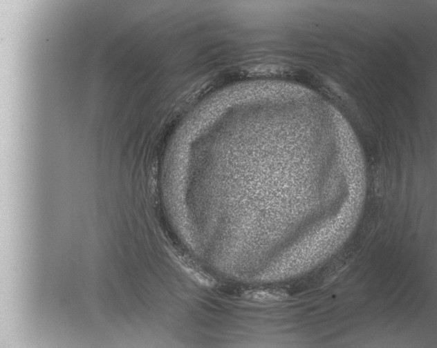 X0000080160737200612302153