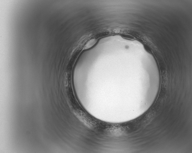 X0000080160738200612302153