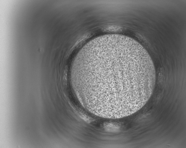 X0000080160739200612302153