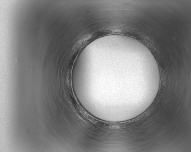 X0000080160740200612302153