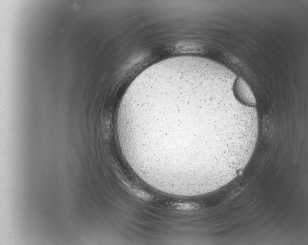 X0000080160741200612302153