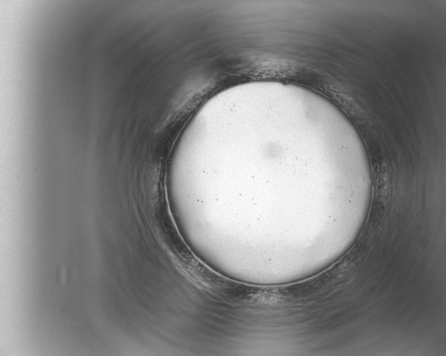 X0000080160742200612302153