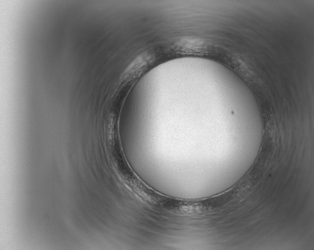 X0000080160744200612302153