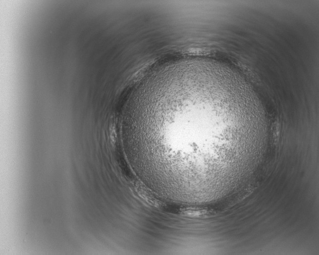 X0000080160746200612302153