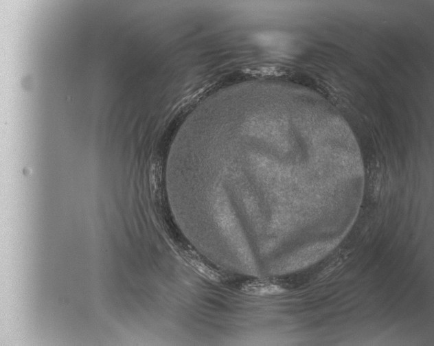 X0000080160747200612302153