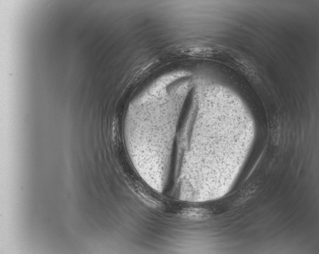 X0000080160748200612302153