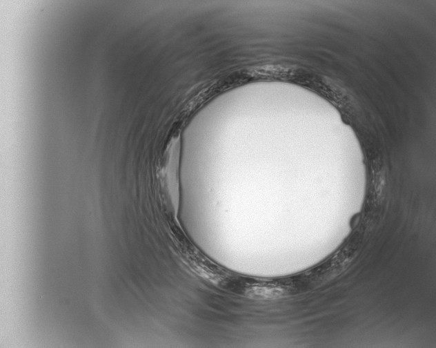 X0000080160749200612302153