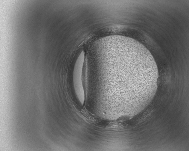 X0000080160750200612302153